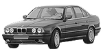 BMW E34 P1432 Fault Code